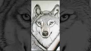 Wolf drawing #DEEPAK #DRAWING