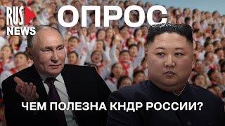 ⭕️ Чем полезна КНДР России? | Опрос RusNews