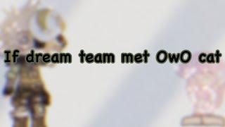 { Dream Team Meet UwU cats...// Funny? Kinda.}