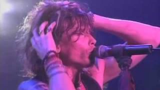 Aerosmith - I Don't Want to Miss A Thing (Live in Japan)