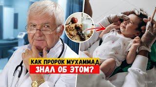 Это новое открытие потрясло ученых-медиков / Пророк Мухаммад объявил о нем за 1400 лет до этого