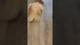 с добрым утром️️️ #боня #лола