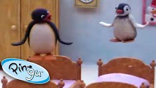 Pingu & Pinga's Sleepover Fun! | Pingu Official | Cartoons for Kids