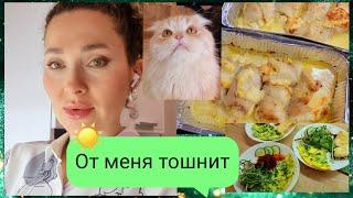 26 февраля 2025 г.Разбор полетов️/От меня тошнит/Вкусные куриные рулетики сначинкой #рулетики