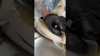 Вспороли Рыбу с Икрой. #shorts #short #shortvideo #fishing