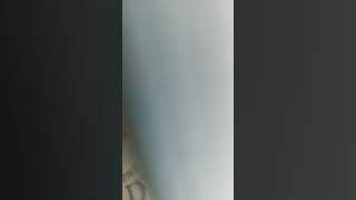 13 июня 2023 г.