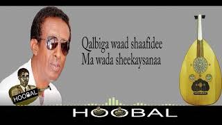 Shucaacii Nuurayaay/Shamis- Maxamed Maxamuud Cige (Busi)|Lyrics