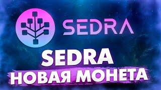 НОВАЯ МОНЕТА | МАЙНИНГ SEDRA | СОЗДАЕМ КОШЕЛЕК | ЗАПУСКАЕМ МАЙНИНГ | ЖДЁМ ИКСОВ