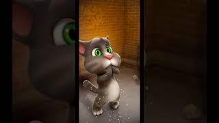 Talking Tom Cat New Video Best Funny Android GamePlay #7247