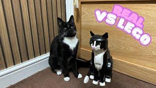 Comparing A Lego Tuxedo Cat To A Real Tuxedo Cat