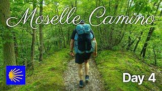 Moselle / Mosel-Camino | Jakobsweg / St. James Way | Day 4 | Treis-Karden — Moselkern