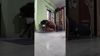 push up #pushups #chestworkout #workout