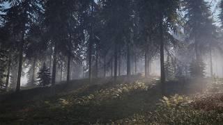 theHunter classic через Steam. Больше не обязательно донатить в игру. Все своими руками. Миссии.