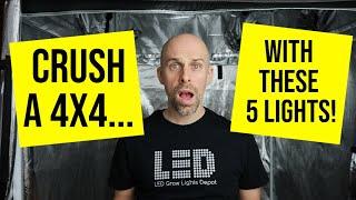 5 HIGH-INTENISTY LED Grow Lights to CRUSH a 4x4!