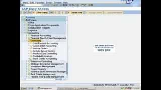 SAP Profit Center Accounting Configuration - Create Profit Centers