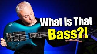 The Craziest Ibanez Bass You'll EVER See!!