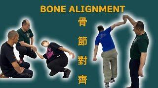 西斯特瑪：骨節對齊   Systema: Bone alignment