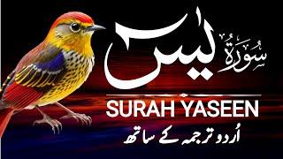 Surah Yaseen | Surah Yaseen With Urdu Translation | Episode - 101