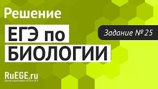 Решение демоверсии ЕГЭ по биологии 2016 | Задание 25. [Подготовка к ЕГЭ (RuEGE.ru)]