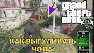 Как в GTA 5 выгуливать Чопа?