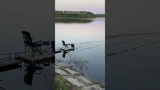 Гнездо рыбака... #сашокдв #природа #nature #рыбалка #fishing