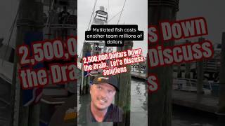 Disqualified Fish Costs Team Millions of Dollars - #fishing #fishingvideo #boat