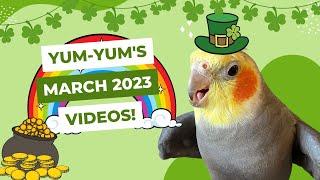 YumYum’s March Videos