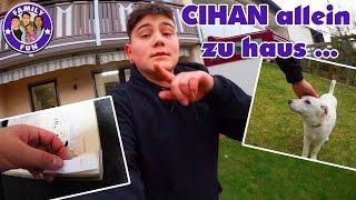 CIHAN ERSTES MAL ALLEINE MIT WELPE KIRA  | Vlog #72 Our life FAMILY FUN