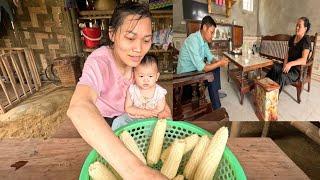 Ly Vy Ca carries out the new crop. Anh Khang is always under pressure from his mother. Ly Vy Ca