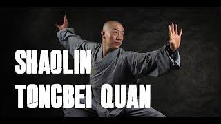 SHAOLIN DA TONGBEI QUAN (PART 2) FIGHTING APPLICATION