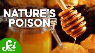 The Deadliest Toxins on Earth