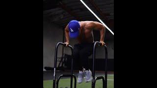 Lebert Equalizer and Paralletes