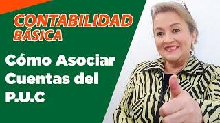 95. Cómo Asociar Cuentas del Plan Único de Cuentas PUC_ElsaMaraContable