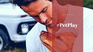 Celebrities and their pets | #PetPlay | La Polo