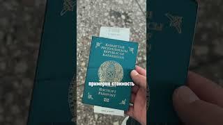Как доехать до Китая за 12.000тг?!
