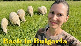 2000 Subs, €400 in the Bank & Happiest I’ve Ever Been  Bulgaria Update ...