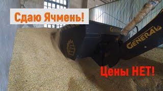 Продаю Ячмень! Цена копеешная!