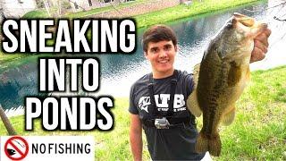 SNEAKING into Ponds for Spring Bass - VLOG