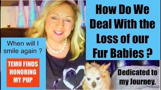 How To Deal with Loss of your Pet . #furbaby#temufinds to cope Temu haul time #29 #grief #love #temu