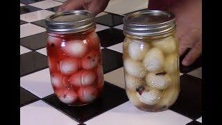 Making pickled quail eggs - Southern style