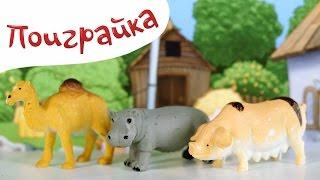 Следопыт ищет следы животных - Запутанная история -Играем в следопытов -Поиграйка с Егором