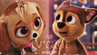 Chase and Skye - Arcade [PAW Patrol: The Mighty Movie] 🩷