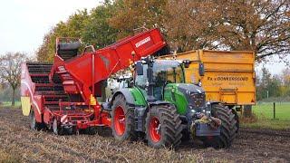 2024 | Fendt 728 + Grimme | Potato harvest | Van Donkersgoed BV | Harvesting potatoes | Uddel (NL)