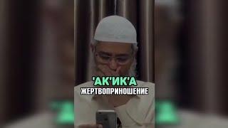 Акика жертвоприношение - Закир Найк #закирнайк #Аллах #иман #ислам #ихсан #ихляс #сунна #таухид