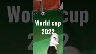 Have fun with the world cup 2022 #shorts