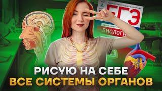 Анатомия: рисую на себе все системы органов| Биология ЕГЭ | Умскул