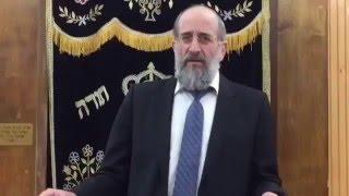 Rabbi Yisroel Reisman on Stop the talking in Shul