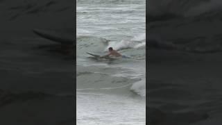 Surfers defy warnings as Tropical Cyclone Alfred whips eastern Australia | AFP #shorts