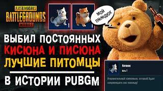 ВЫБИЛ НОВЫХ ПИТОМЦЕВ PUBG MOBILE! ОТКРЫТИЕ КЕЙСОВ ПУБГ МОБАЙЛ! ОТКРЫВАЮ НОВЫЙ КЕЙС ПАБГ МОБАЙЛ!