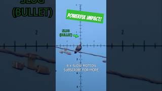 Powerful Airgun Impact | FX Impact | Best PCP Airguns in the world | FX Airguns